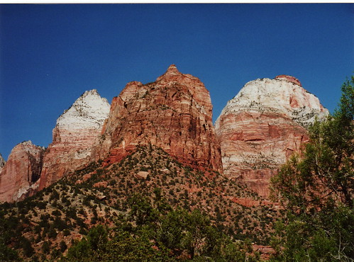 Red cliffs of Zion National Park