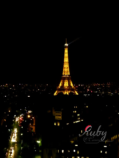 Eiffel tower_03_night view
