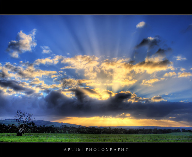 The Spectrum of Light (Revisited) :: HDR by Artie | Photography :: So Busy