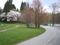 Green Lake path via flickr