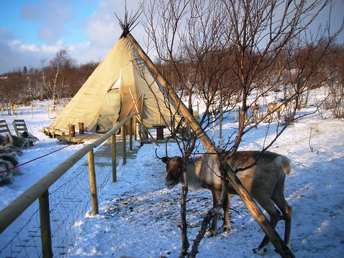 Kirkenes Reindeer Park Resort in Norway #1