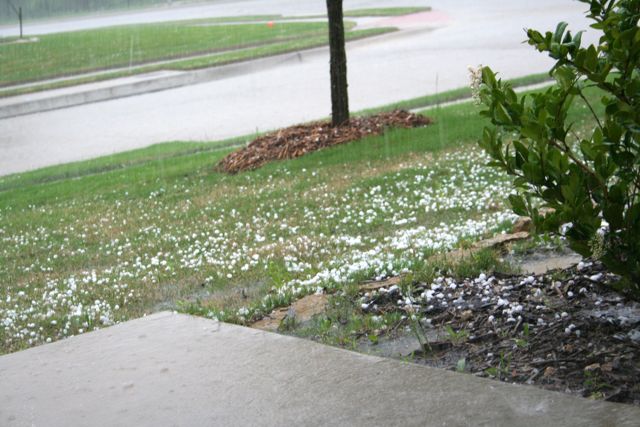 hail in the front yard