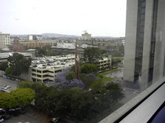 View from jury duty