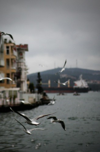 Стамбул. истории с картинками.