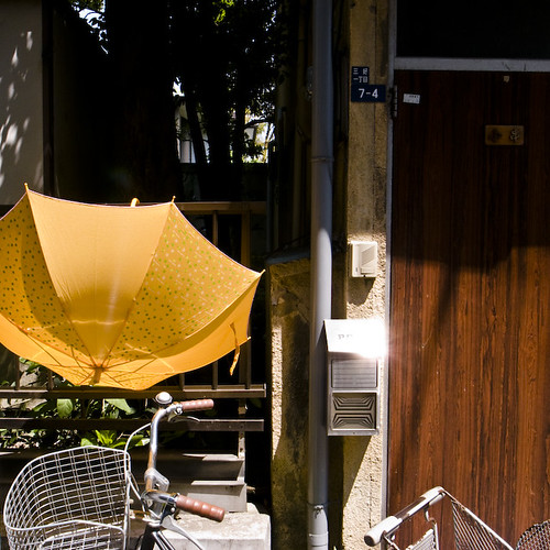 Bicycle, Umbrella, Sun Spots