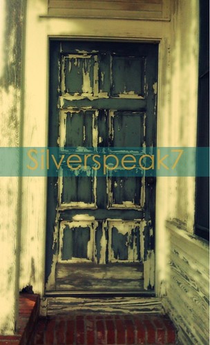 The Door by silverspeak7