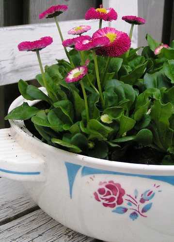 spring flowers in vintage bowl