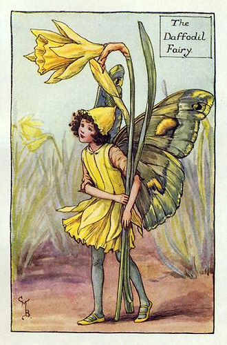 006-daffodil_flower_fairy