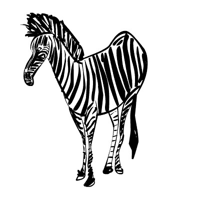 Cartoon Pics Of Zebras. Quick cartoon of a zebra.