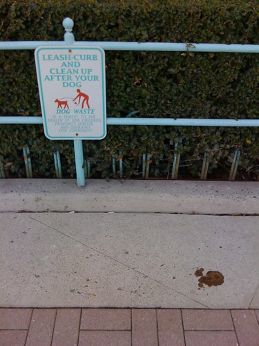 Clean Up After Your Dog by you.