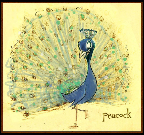 another draft of the peacock with smaller beak and color.