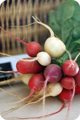 radishes from Bardstown Road farmer's market