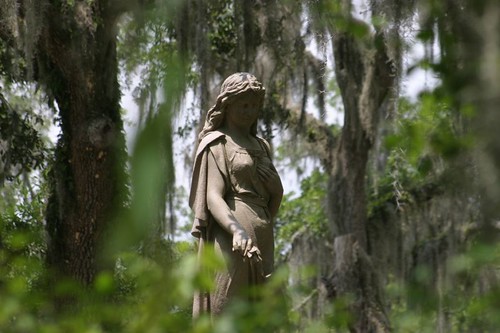 Bonaventure Cemetery, Savannah - Georgia/USA.