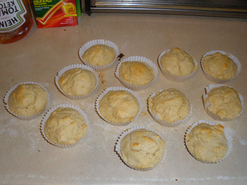 Our first attempt on sugar-free muffins