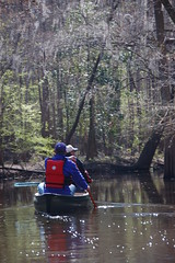 Canoeing the Congaree Swamp
