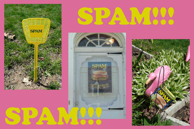 spam-copy-2