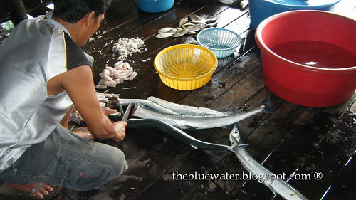 Kelong Acheh Fish Cleaning