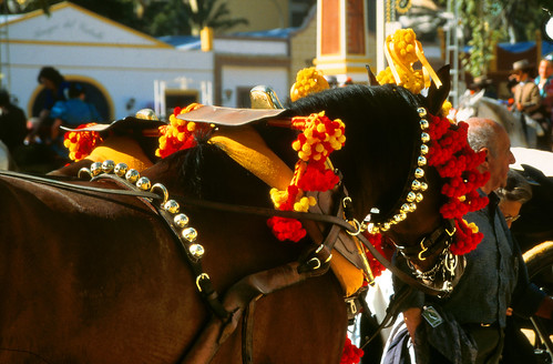 Feria del Caballo - Jerez Horse Fair