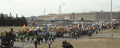 Marching Crowd6