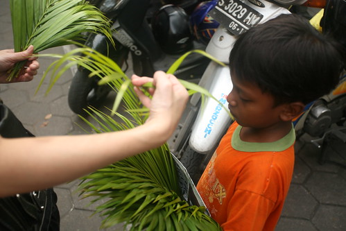 buying palm leaves