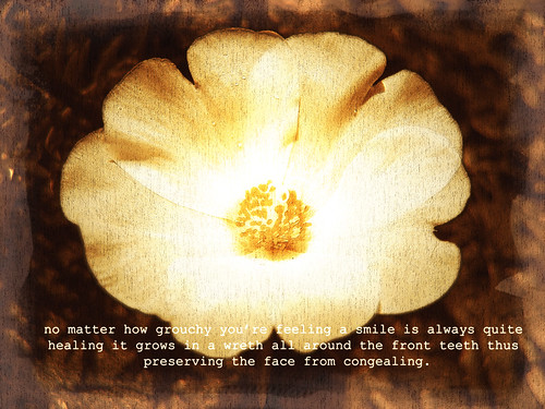 images of flowers with quotes. of flowers with quotes.
