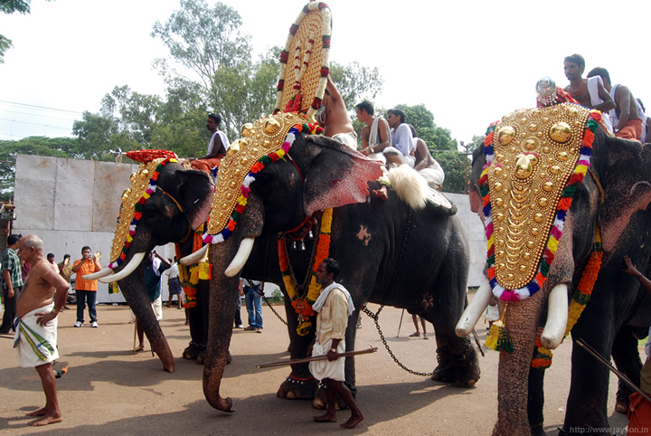 Poorams at Vadakkunnathan  - elephant processions arriving at vadakkunnathan