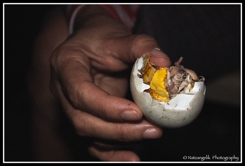 Fertilized Chicken Egg. duck (or chicken) egg with