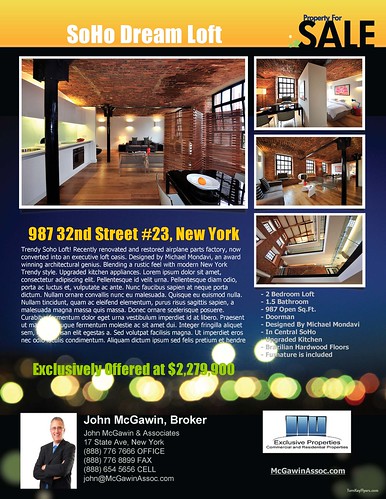 cool real estate flyers. great real estate flyers. sample real estate flyers.