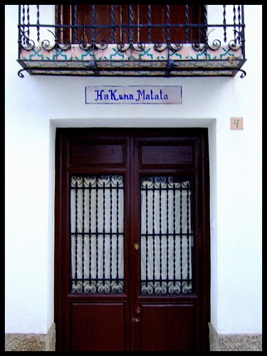 Postcards from Spain | The Doors and Windows of Granada