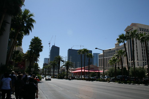 More Of The Strip