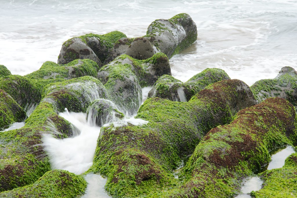 老梅-03-綠色礁岩(石槽)-35