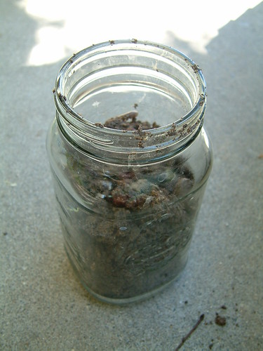 jar with dirt