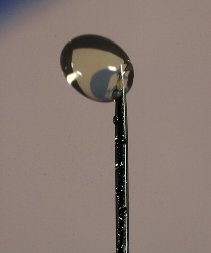 Water drop surface tension on a pin by SteveP!