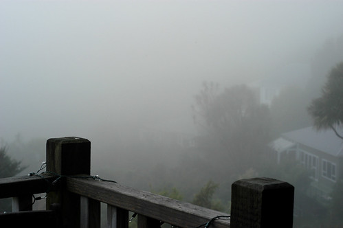 fog 1