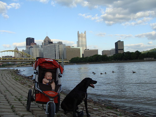 Silas and the Pittsburgh skyline
