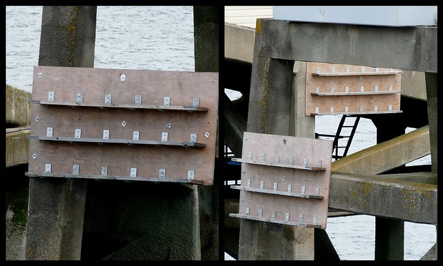 24476 - Artificial Ledges, Mumbles Pier