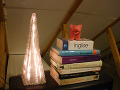 Attic light and books