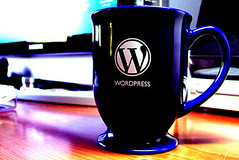 WordPress mug