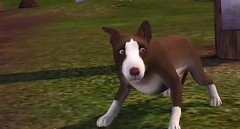 Sims 3 Pets 10