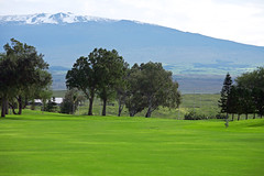 Paniolo Greens Golf Course with Snowcapped Mountains in Hawaii