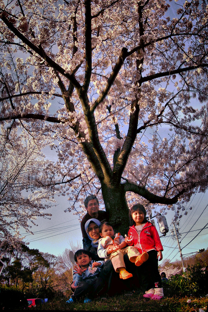 Us under the sakura tree