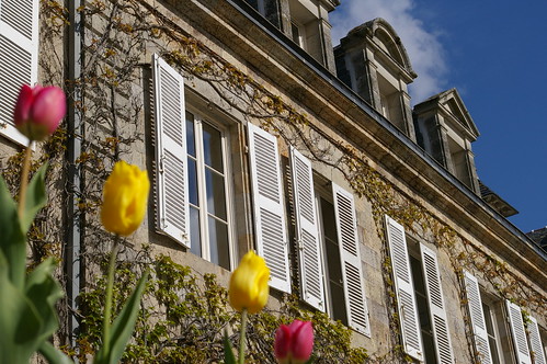 C In Posh Surroundings · Le Manoir Du Hilguy Tulips 