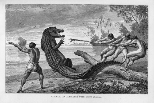 002-Los Ríos Amazonas y Madeira 1875-Cazando un caiman con lazo en el Madeira
