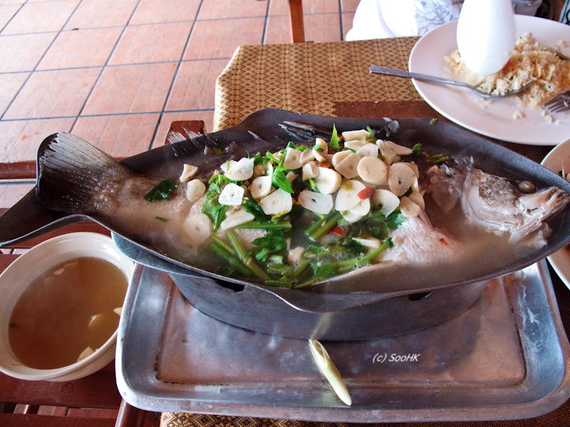 Steam Fish @ Kaenchan Beach Hotel, Cha-Am, Thailand