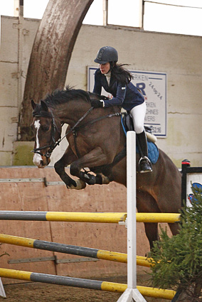 horses jumping high jumps. Me jumping with my horse Blue