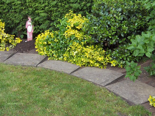 Indian Sandstone Patio and Lawn Image 7