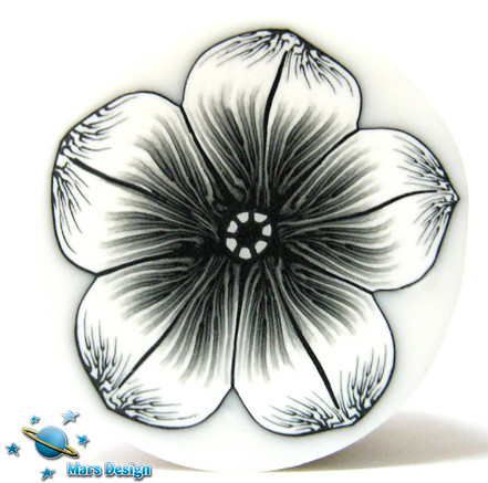 black and white flowers photography. Black and white flower cane