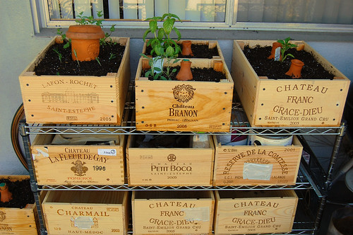 wooden crates used as planters