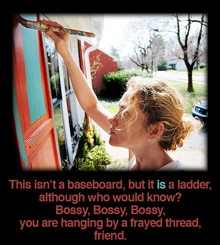 bossy-paints-house-shutters
