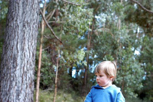 pensive in the forest